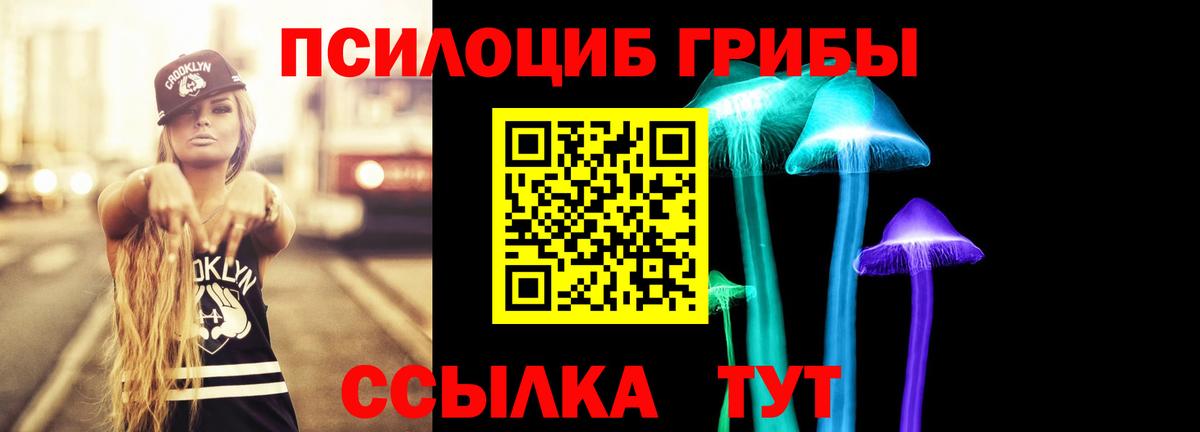 Галлюциногенные грибы мицелий Всеволожск